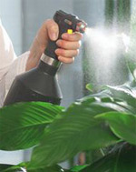 Nebulizzare le piante per avere un ambiente umido