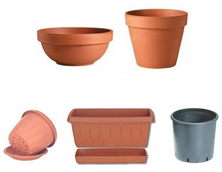 Tipi di vasi per rinvaso piante